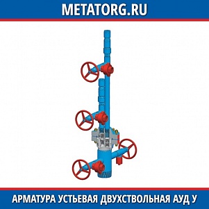 Арматура устьевая двухствольная АУД-50х14–168 178 У